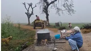 Early Morning in Village Heavy Winter Fog Punjab Pakistan 🇵🇰 ||Village Life in Punjab Pakistan 