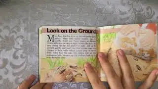 Bugbook/ B&ouml;cekkitabı 🐛 🐜