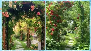Garden Tunnel Magic: Making Your Backyard Unique