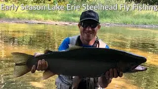 Starting My Erie Steelhead Season Early Because Why Not? (Caught A Giant)