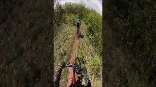 Spinishor - 26042025 - Podgumer MTB Trails #noordinarylife #mountainbikeroutes #mtb #turbolevo