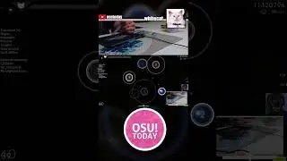 W WHITECAT︱WHITECAT #osu #osugame#osugameplay #osuclips  #osushorts #shorts #mrekk #gaming #osupp