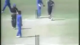 Non Striker conceals his partners hit wicket
