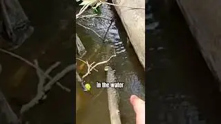 Found a DEAD BODY FISHING?😱 #buckoutdoors #fishing #explore #fishingtechniques #catchingfish #fish