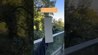 Фэнтезийный сериал для вашего жуткого сезона 👀