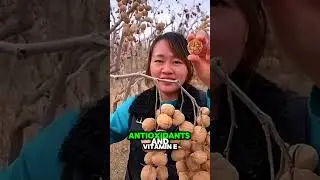 How Walnuts Boost Brain Power 🧠 | Natural Brain Food Benefits!