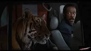 General Lift Motion Control Demo Reel - Animals 动物