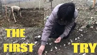 Off-Grid Rural Life | First Crop, Only Soil and Hope