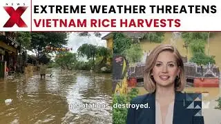 Vietnam Floods 2025: 41 Dead, 52,000 Homes Underwater &mdash; Full Disaster Report. #CentralVietnam