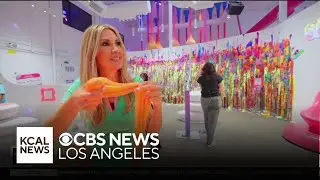 Sloomoo Institute in Los Angeles | Let&rsquo;s Go Places