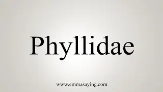 How To Say Phyllidae