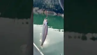 KOKANEE SALMON FISHING BULLARDS BAR RESERVOIR 3/19/2025