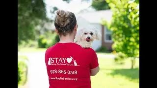 An Introduction to STAY Pet Services