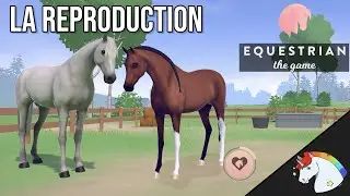 REPRODUCTION SUR EQUESTRIAN THE GAME