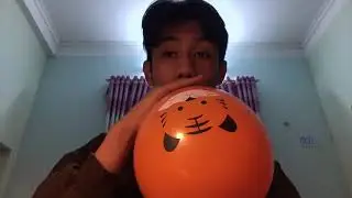 Balloon #11043