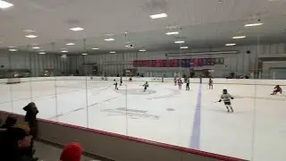 U11AA Ottawa Sting vs Ajax Pickering Raiders - Jan 31, 2026