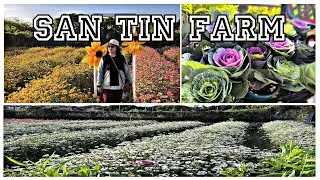 Shun Sum Yuen Farm