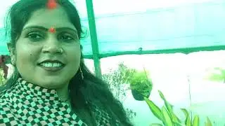 Green plants #house garden #homegarden #loweringplants #nursaryplantjlpl #viralvideo 