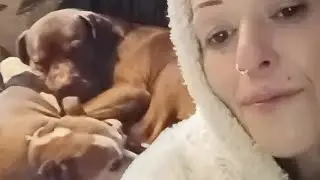 Ангелы привели тебя сюда 🙏