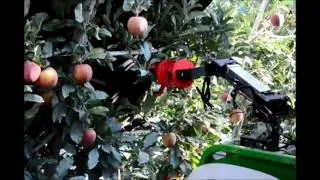 Apple Harvesting Robot
