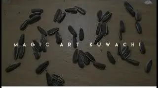 Magic Art Kuwachi