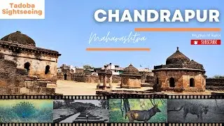 Offbeat Maharashtra | Tadoba | Nagpur | Forts, Temples, Caves & Wildlife | Discover Hidden Gems