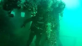 Scuba Diving Ontario - Welland Scuba Park 2020