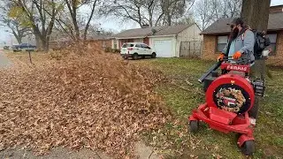 This Homeowner was TRAPPED Between Two Overgrown NIGHTMARE Neighbors