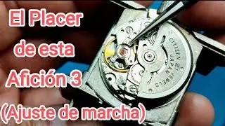El placer.... Ajuste de marcha (Citizen cal. 6501)