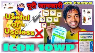 Icon 10 wp || Useful or Useless || Practical of Icon 10wp #flies #insects