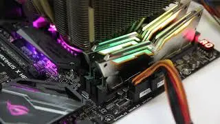 TEAM NIGHT HAWK RGB light1