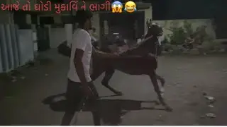 aaj to ghodi bhagi gy 😱😂
