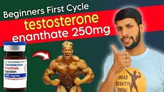 Testosterone enanthate cycle in Hindi | Beginners First Cycle | Saini Fitness Home