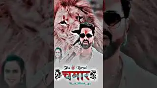the royal chamar power दबंग chamar song pawan singh