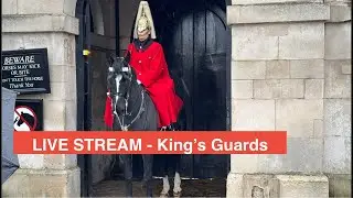 LIVE STREAM - King’s Guards