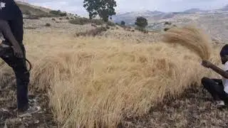 የቦረ ናጤፍአያምርም