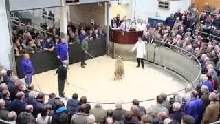 Midlock &pound;20,000 (1st)