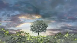 FINDING COMFORT - THE POWER OF REASSURANCE in healing emotional and physical pain & deep sleep