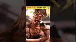Crying Plant Mandrake😱 #facts #factinhindi #shorts#shortvideo#viral#ytshorts