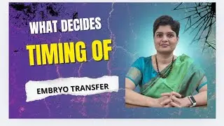 What decides the timing of embryo transfer after ovum pick up cycle in IVF .? 