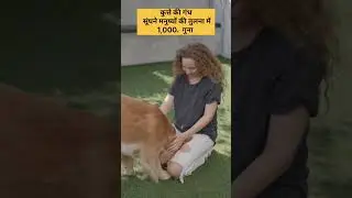 Dog's smell power #facts #shorts #viral #dog #science