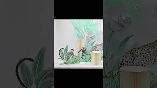 Window Display