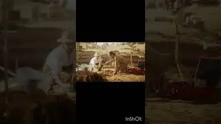 Artifacts  Brush and Tools. Discovery of Ancient Civilization Temple, Architecture, Fossil Remains