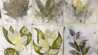 Eco dyed papers with watercolour enhancements.
