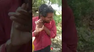 Vigo video download very very funny video