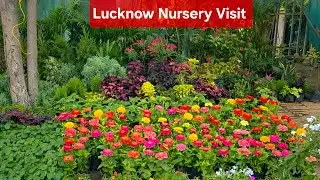 Lucknow famous Moti Mahal Nursery Visit March 2025