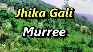 Jhika Gali Murree | Beautiful Scenic View | Exploring Sightseeing Beautiful Pakistan