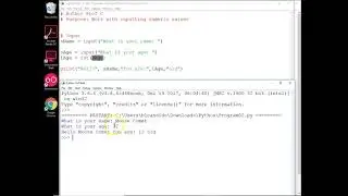 Python work with inputs of string, int and float variables