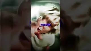 Падонок fashion. Мой тг канал в профиле 