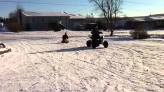 Taotao 150